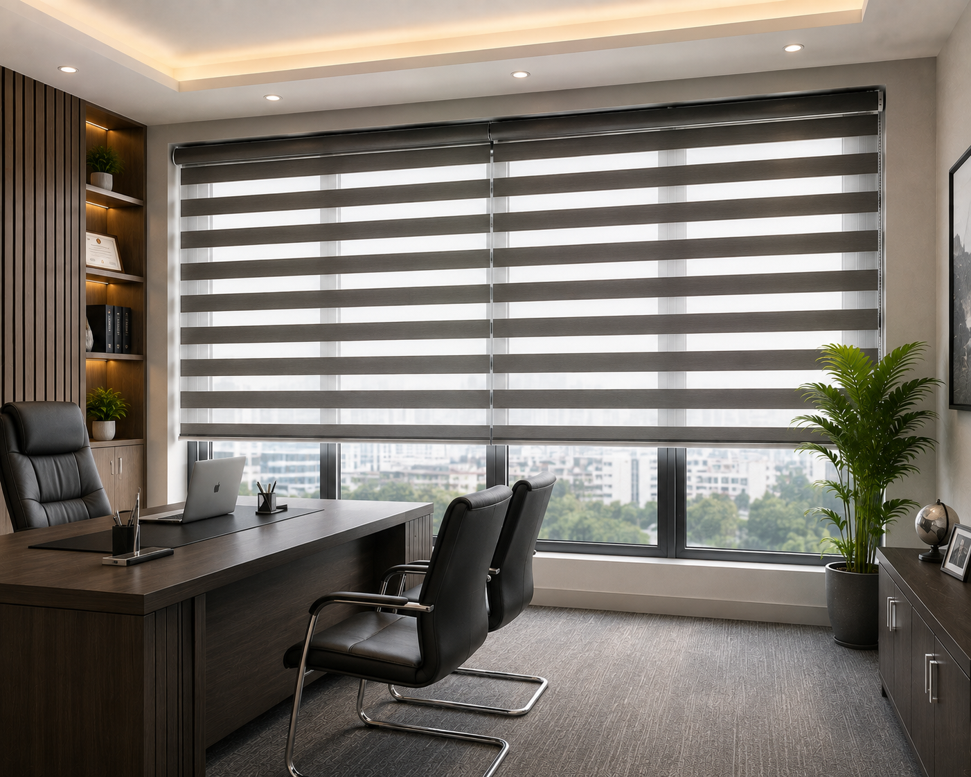 Zebra Blinds